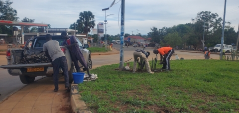 Planting of flowers in Town